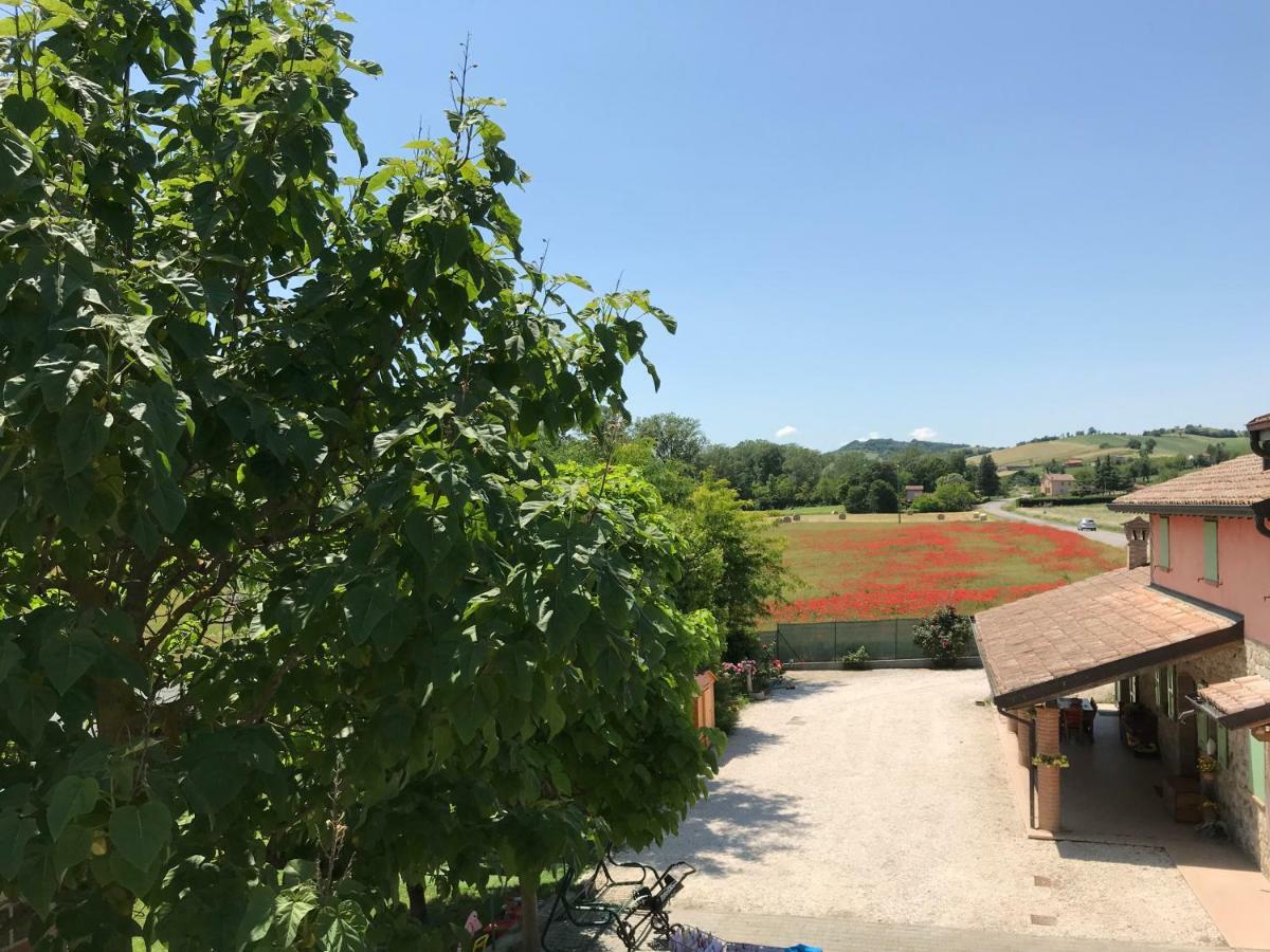 Tra I Campi Di Papaveri Medesano Exterior foto
