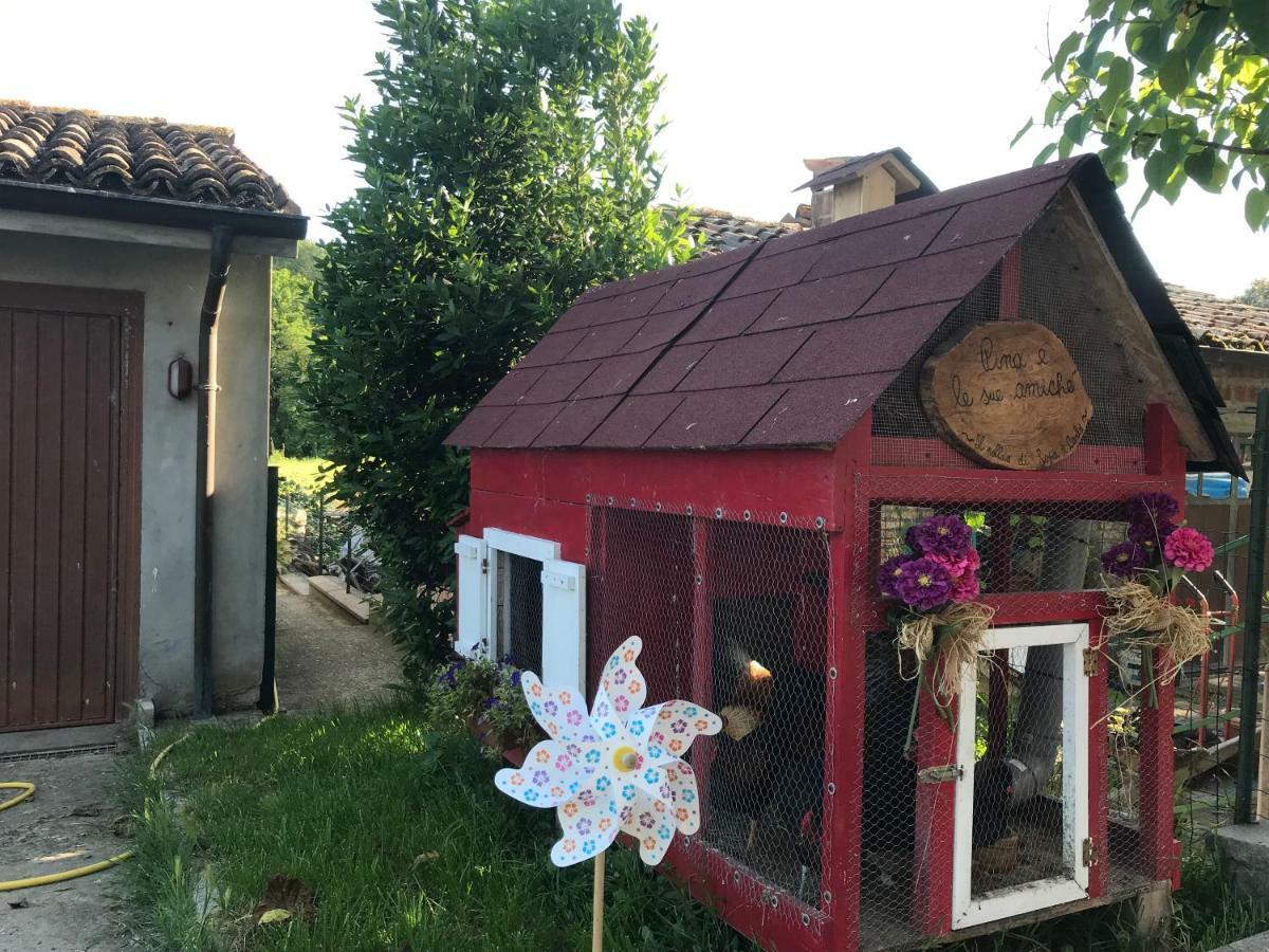 Tra I Campi Di Papaveri Medesano Exterior foto